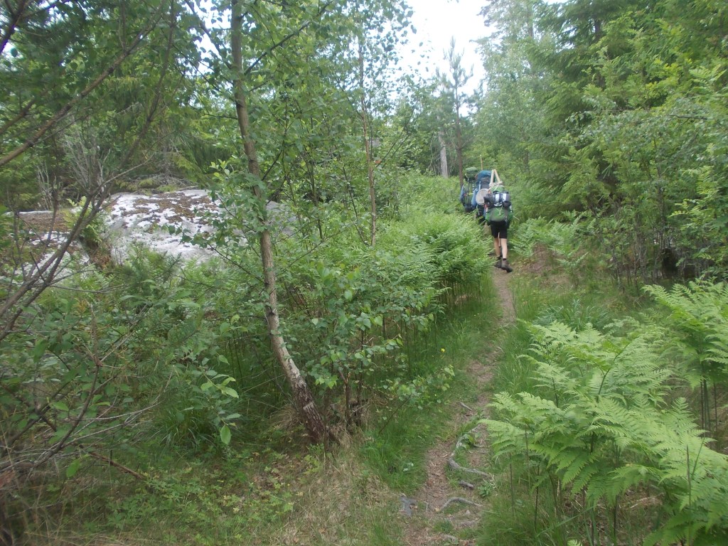 Irgendwo in Schweden